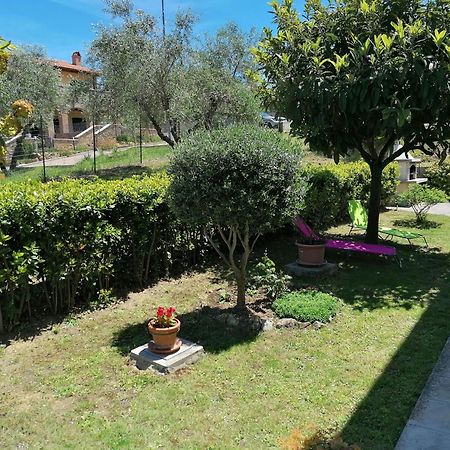 Goccia In Valdorcia Smart Home San Quirico d'Orcia Eksteriør billede
