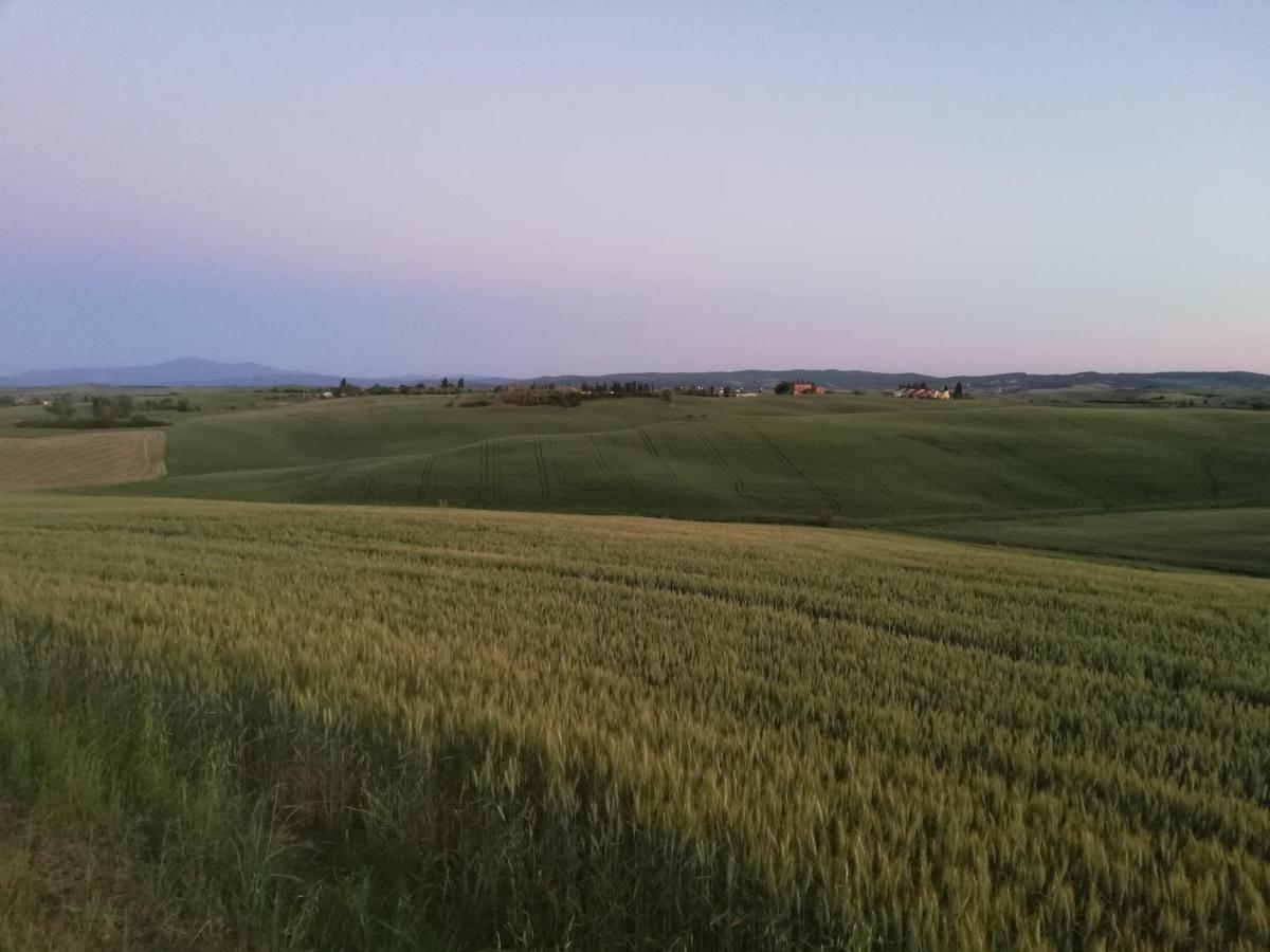 Goccia In Valdorcia Smart Home San Quirico d'Orcia Eksteriør billede