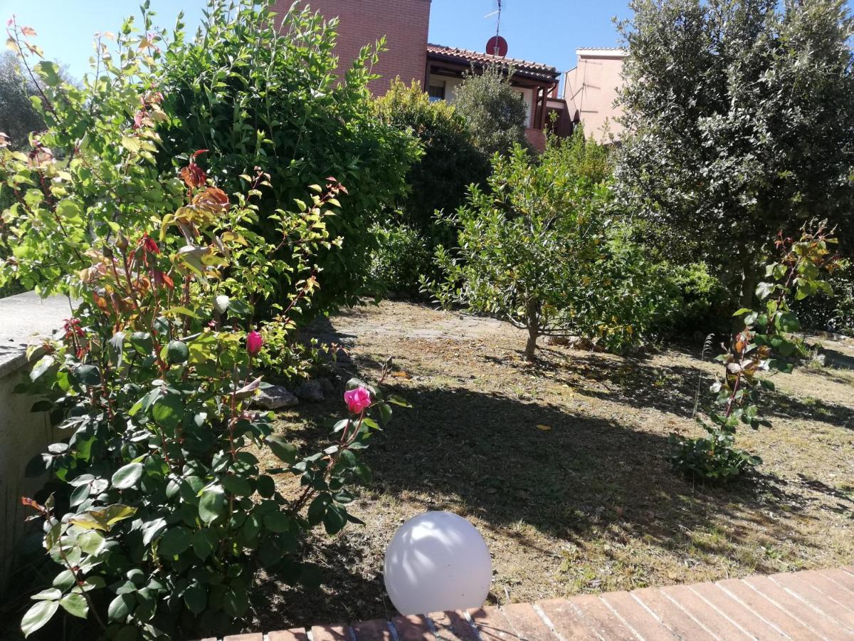 Goccia In Valdorcia Smart Home San Quirico d'Orcia Eksteriør billede