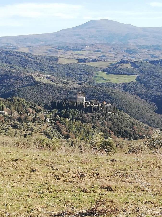 Goccia In Valdorcia Smart Home San Quirico d'Orcia Eksteriør billede