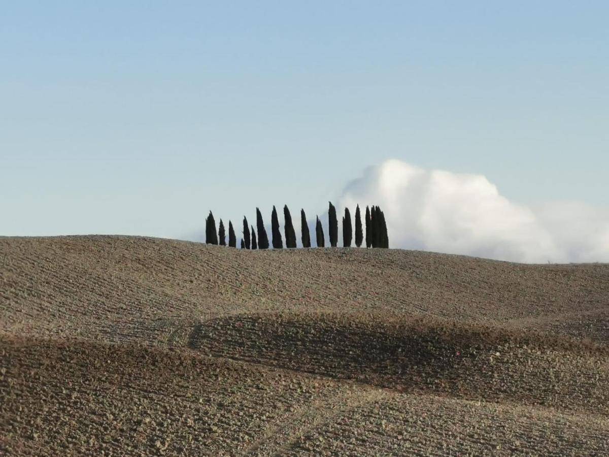 Goccia In Valdorcia Smart Home San Quirico d'Orcia Eksteriør billede