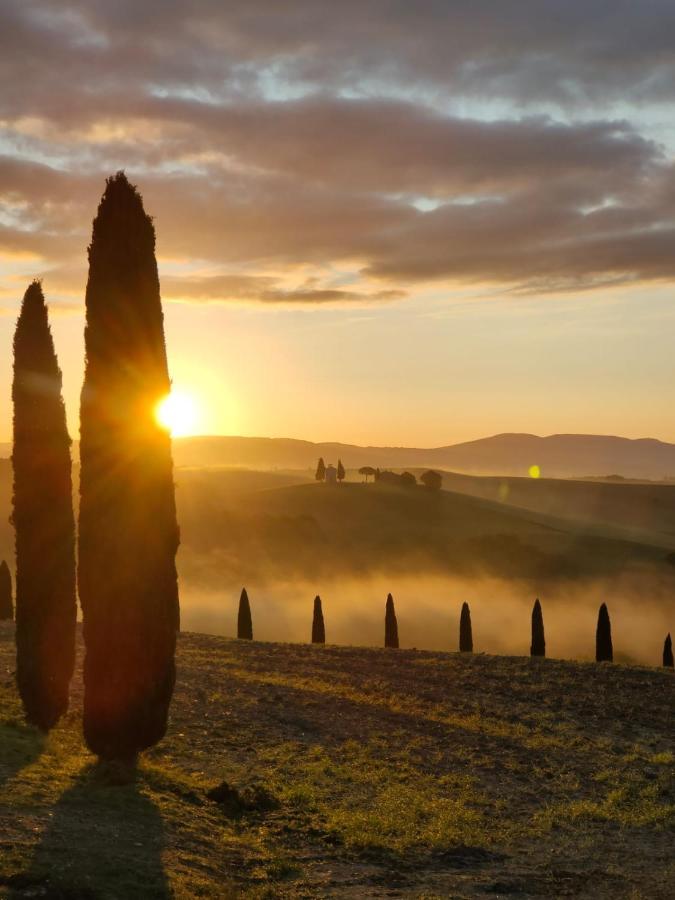 Goccia In Valdorcia Smart Home San Quirico d'Orcia Eksteriør billede