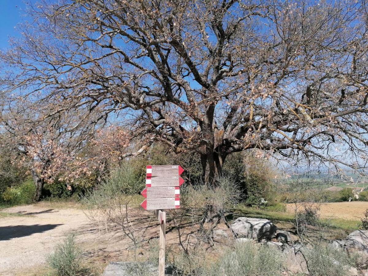 Goccia In Valdorcia Smart Home San Quirico d'Orcia Eksteriør billede