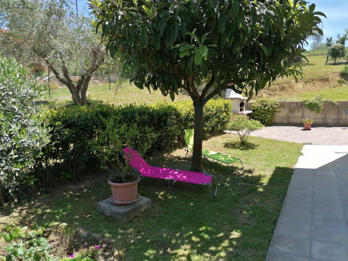 Goccia In Valdorcia Smart Home San Quirico d'Orcia Eksteriør billede